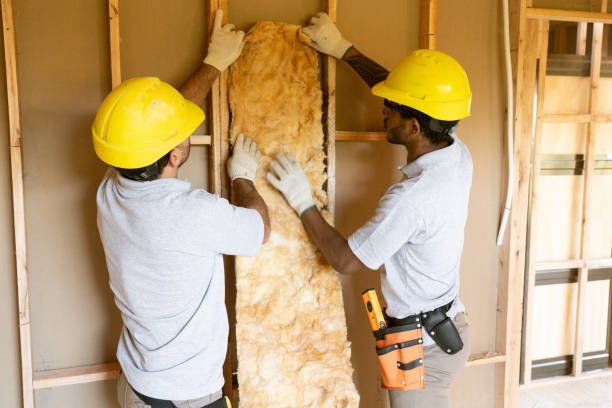 Best Insulation Air Sealing  in Breese, IL